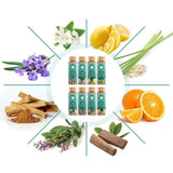 Coffret huiles essentielles - Nature divine x16 / Huiles essentielles anti-ronflements / huile essentielle de bergamote