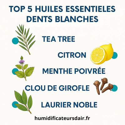 5-meilleures-huiles-essentielles-pour-les-dents-blanches-tea-tree-citron-menthe-poivree-clou-de-girofle-et-laurier-noble