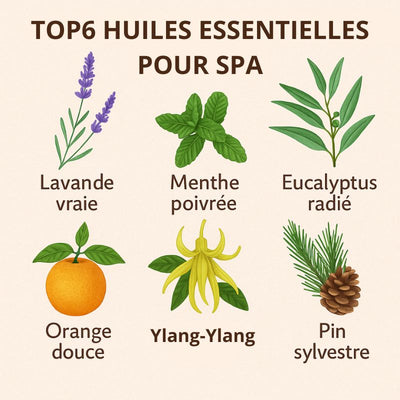 6-MEILLEURES-HUILES-ESSENTIELLES-POUR-SPA