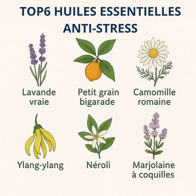 6-meilleures-huiles-essentielles-anti-stress