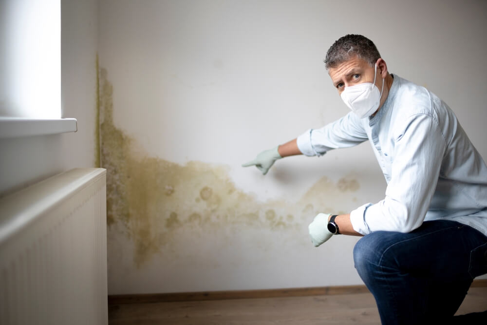 Quels sont les différents types de problèmes liés à l'humidité dans une maison et comment les éviter ?