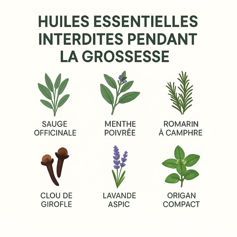 Les huiles essentielles interdites pendant la grossesse: notre guide pour les femmes enceintes