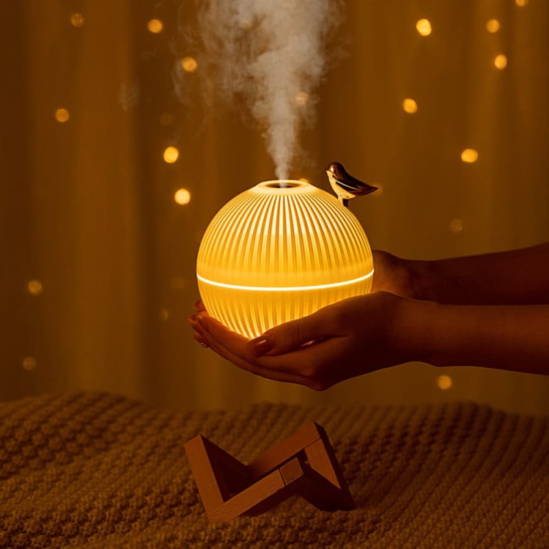 Comment bien choisir un humidificateur d’air ? – humidificateursdair