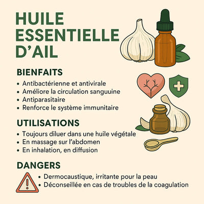 infographie-huile-essentielle-ail-bienfaits-utilisations-dangers