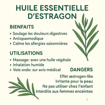 infographie-huile-essentielle-estragon-bienfaits-utilisations-dangers