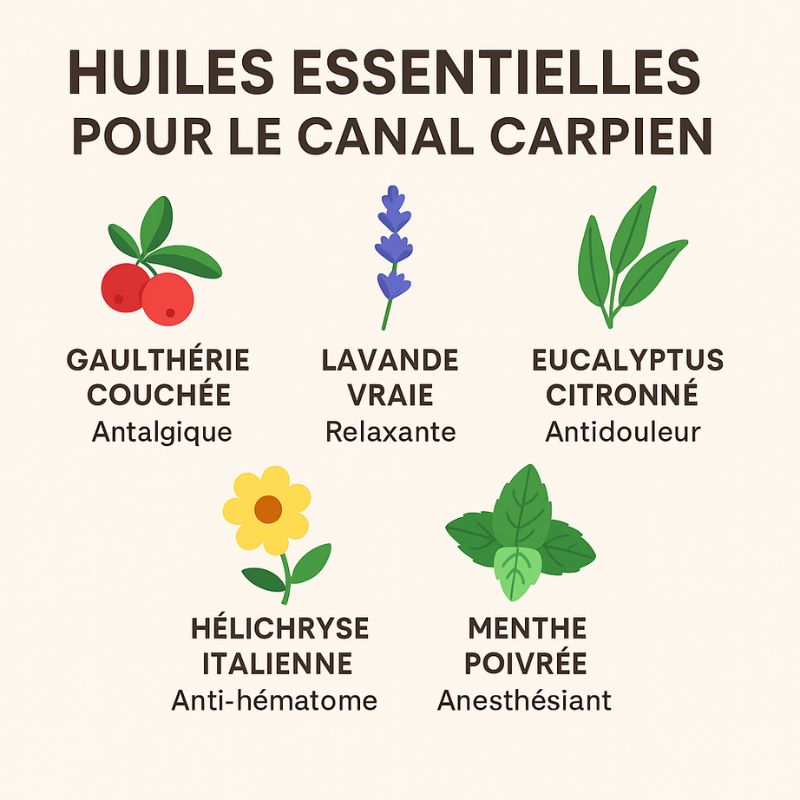 Syndrome du canal carpien : quelles huiles essentielles pour des soins naturels ?