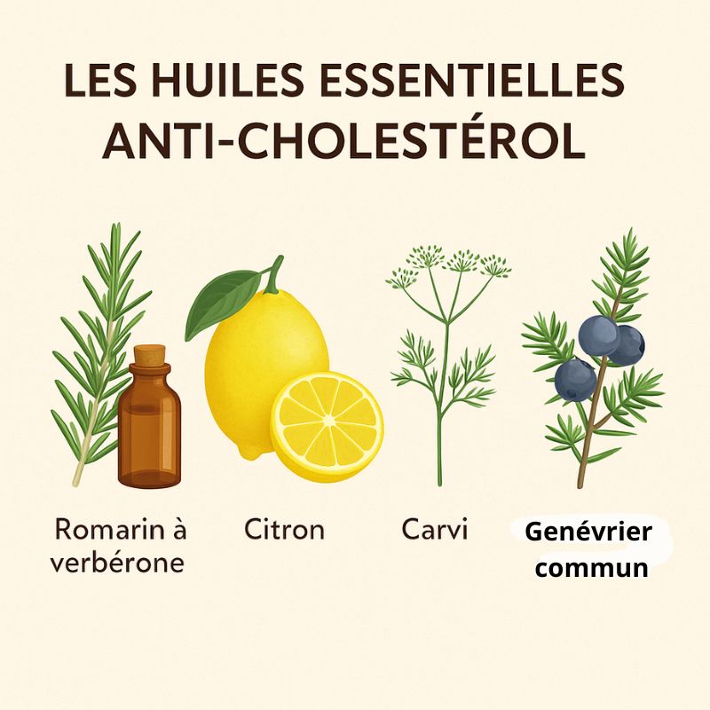 Comment réduire son cholestérol avec les huiles essentielles ?