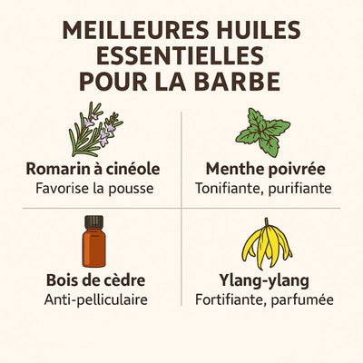 infographie-meilleures-huiles-essentielles-pour-la-pousse-de-barbe
