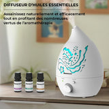 Humidificateur d’air diffuseur HE - AROMACARE