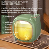 Humidificateur d’air double brumisation - NEBZ