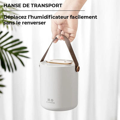 Humidificateur d’air double buse 1200ml - BRUMEA