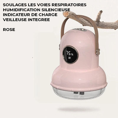 Humidificateur d’air rechargeable à suspendre - ARIXA