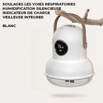 Humidificateur d’air rechargeable à suspendre - ARIXA