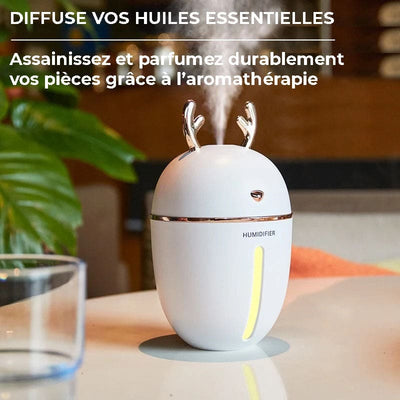 Humidificateur veilleuse 2en1 diffuseur HE - BRUMO
