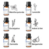 Coffret aromathérapie huiles essentielles / Huiles essentielles anti-mites (lavande) / Huiles essentielles anti-stress (bergamote) / huiles essentielles anti-acariens (eucalyptus)
