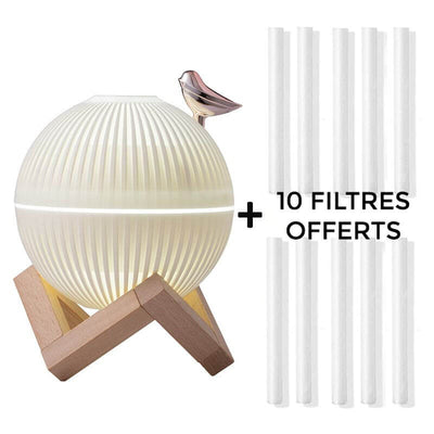 humidificateur-dair-2en1-decoratif-avec 10 filtres offerts / humidificateur d'air diffuseur d'huiles essentielles