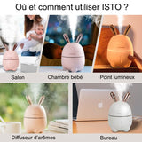 Humidificateur d’air design épuré lapin - ISTO