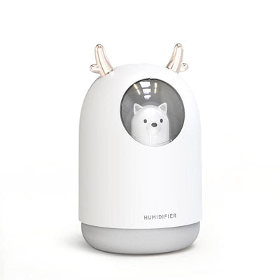 Humidificateur d’air originale et silencieux - LUPO
