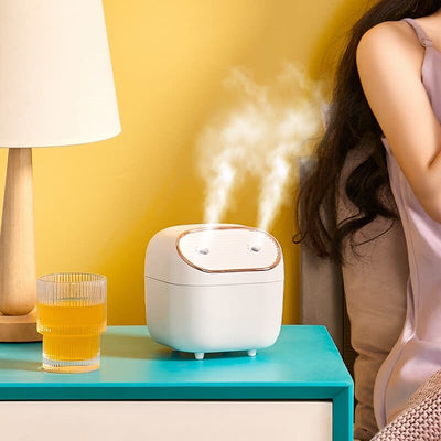 Humidificateur diffuseur HE double buse - PATIO