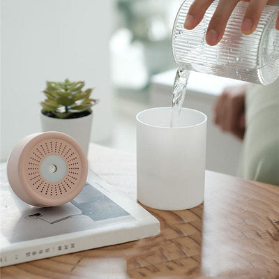 Humidificateur simple buse 2en1 avec veilleuse - EDWIN