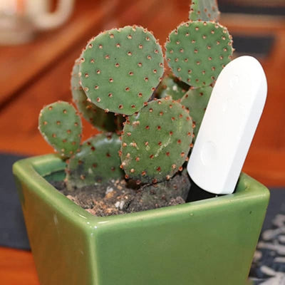 Hygromètre pour plante indicateur LED