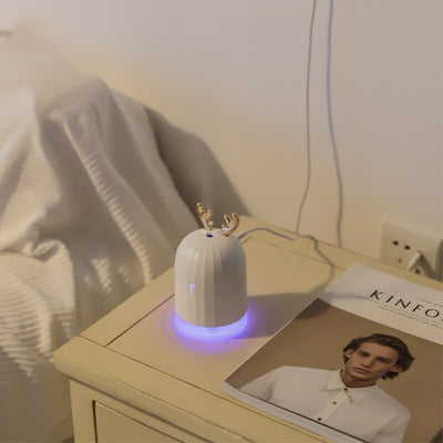 Petit humidificateur d’air 2en1 pour chambre - WIZZ / humidificateur d'air 2en1